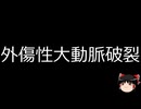 【ゆっくり朗読】ゆっくりさんと不思議な病気 その672