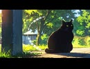 Lo-Fi BGM｜静寂の中の音