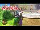 【ドラゴンクエスト11S】「勇者」とは何なのか。また会ったな、天空の民よ…！！【Part264】