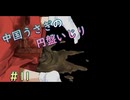 【SPELL　DISK】中国うさぎの円盤いじり#11【うさきり実況】