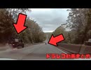 日本のドラレコ映像まとめ　事故・危険運転集 #104