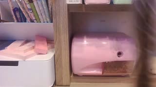 マッシュル！