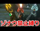 ゾナウ禁止縛りpart53【ティアキン/制限プレイ/ゼルダの伝説ティアーズオブザキングダム】