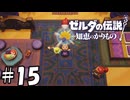 砂漠とオアシスとマンゴー畑【ゼルダの伝説 知恵のかりもの】15