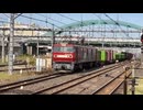 Watching JR trains in Saitama, Japan □ Oct. 2024 日本の埼玉でJRの列車を見た（複数日の繋ぎ合わせ。時間帯バラバラ）