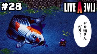 お前のような錦鯉がいるか【LIVEALIVE/Switch版/幕末編】#28
