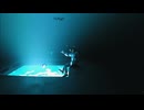 Galleons - Casadastra