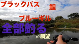 ブラックバスがウグイを捕食する場所でルアーフィッシング「#1伝説の始まり」