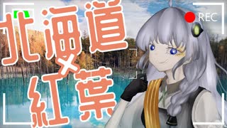 秋麗な美瑛旅【VOICEROID旅行】