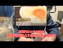 【完全栄養】【生存報告】　生卵10個にネスカフェまったり深い味を混ぜたら最高のプロテインが完成しました1022日目