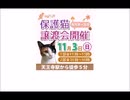 保護ねこの家譲渡会 in 天王寺