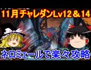 11月チャレダンLv12＆14をネロミェールで楽々攻略！【パズドラ】