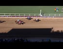 2024 Breeders' Cup Classic Sierra Leone