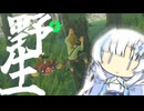 【ゼルダBotw】雪きずと一緒に今更始める初見ブレワイ放浪生活.第一話