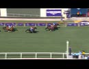 2024 Breeders' Cup Turf Rebel's Romance