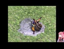 [MH2]アカネちゃんのジャンボ村開拓記　part12