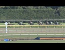2024 百日草特別 (2歳1勝クラス)　ショウナンマクベス