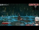 霊夢が行くコードヴェイン（仄暗い洞窟編3）