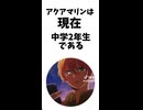 アクアマリンに関する雑学エピソードP1