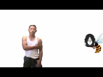 Apollo(TJ.hangnail)バチにさされるゆうさく