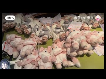 ホモと見る日本のディズニーランドを荒らしまくる中国人転売ヤー