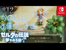 【島村実況12】彼女はプロでした【ゼルダの伝説 夢をみる島Switch】