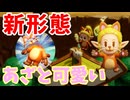現実でも欲しい!?猫と話せる装備がかわいすぎる！【ゼルダの伝説 知恵のかりもの】#30
