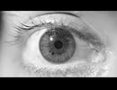 IsMyPoInToFvIeW