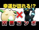 ブラッキー＆ラッキーのコンボが害悪すぎる…