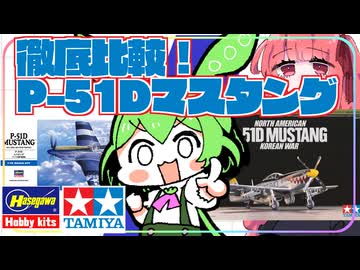 【比較レビュー】正義の銀翼を手に入れろ！　タミヤ・ハセガワ1/72P-51Dマスタング【傑作戦闘機】