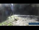 HONDA・XR50M、走行風景動画11月4日汚れた英雄版