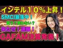 インテル急騰！SMCI暴落！GAFAM決算発表！（花子の人生波乱万丈（13））