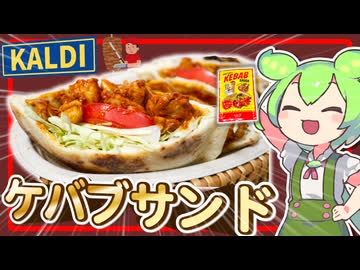 【ずんだもん料理】カルディのお手軽ソースで！屋台で人気のケバブサンドを作るのだ！！【VOICEVOX実況】（おまけの歌あり♪）