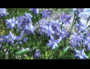 【気まMAD】Endless War × 進撃の巨人 エレン・イェーガー