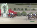 第24回ＪＢＣスプリント タガノビューティー
