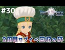 #30【テイルズオブヴェスペリア】２周目の旅！サブクエスト回収する！！【TALES OF VESPERIA】【実況】