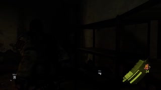 バイオ6コラボ配信その9