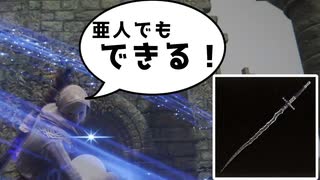 オートロリ狩り連星剣聖女