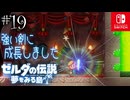 【島村実況19】剣には名前を書くんです【ゼルダの伝説 夢をみる島Switch】