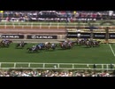 2024 Melbourne Cup Knights Choice
