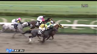 グロバーテソーロ　東京・神奈川新聞杯　2024年11月2日
