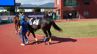 パドックでプリケツを見る会in佐賀競馬　20241104