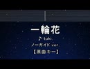 カラオケ♬ 一輪花 - tuki. 【ガイドメロディなし】 インスト, 歌詞 ふりがな