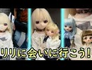 【ラブドールとの日常】日本橋へリリに会いに行こう！【ゆっくり解説・VOICEVOX解説】