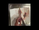 ＃かます　＃カマス　＃塩焼き