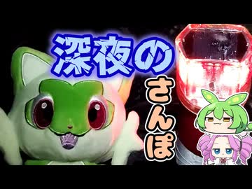 眠れない夜は町を散歩するのだ！