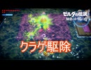 でっかいクラゲを駆除するゼルダ姫　ゼルダの伝説知恵のかりもの実況プレイPart20