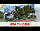 狩野翔の未踏ドライ部！3rd season 南九州編#34「アレに遭遇!」【出演：狩野翔・笠間淳／天の声：熊谷健太郎】