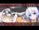 【第二回模型娘のもち子さん投稿祭】How Mocchi Is This ??【VOICEVOX劇場】