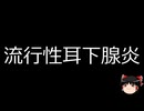 【ゆっくり朗読】ゆっくりさんと不思議な病気 その673